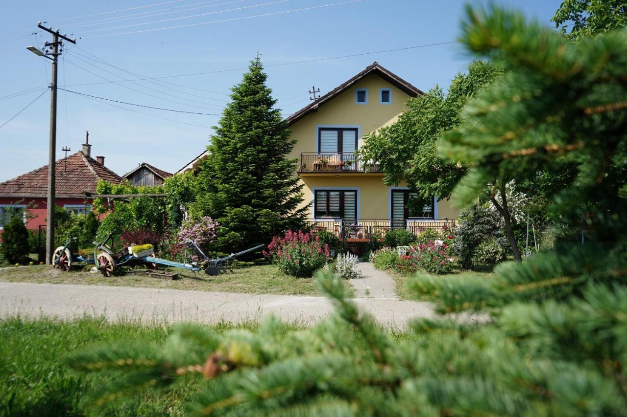 Etnobubi Apartment Novi Sip Exterior photo