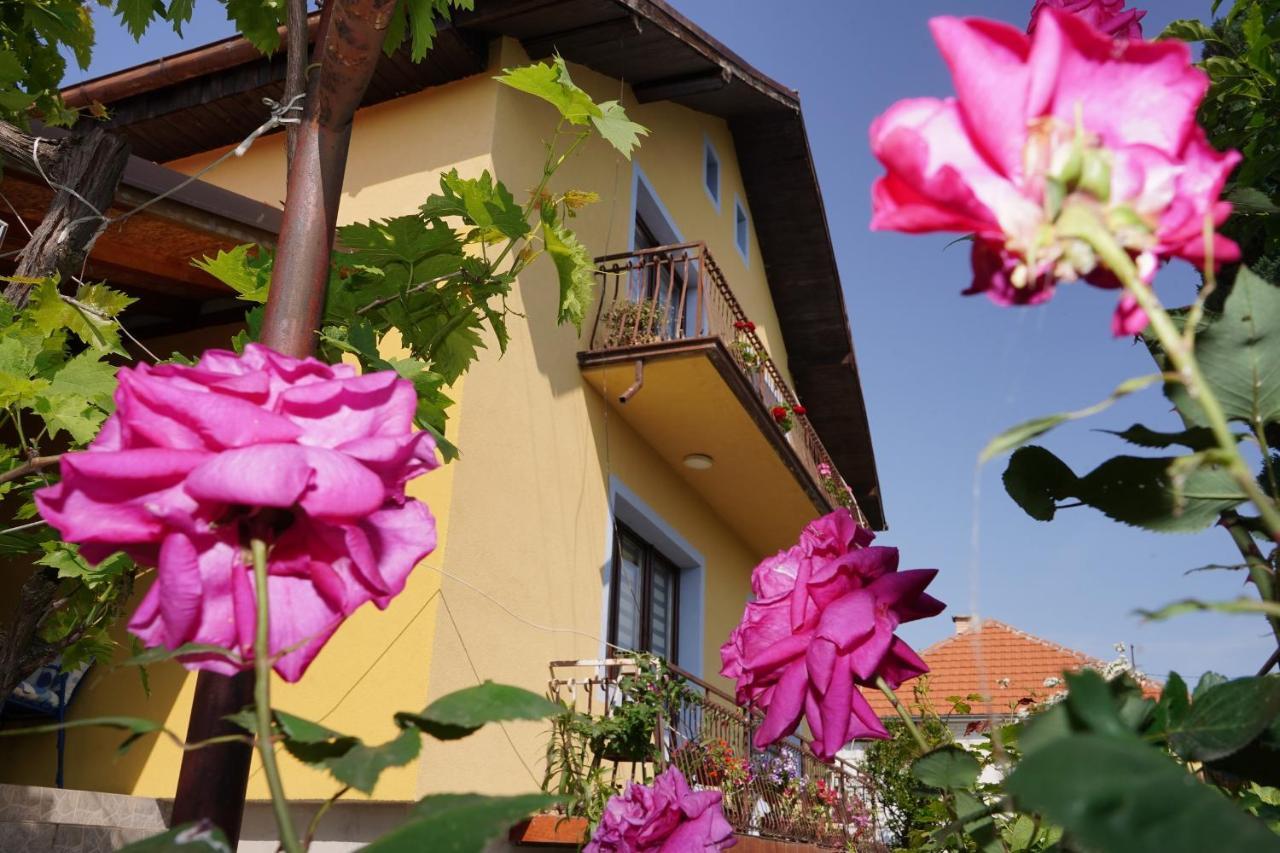 Etnobubi Apartment Novi Sip Exterior photo
