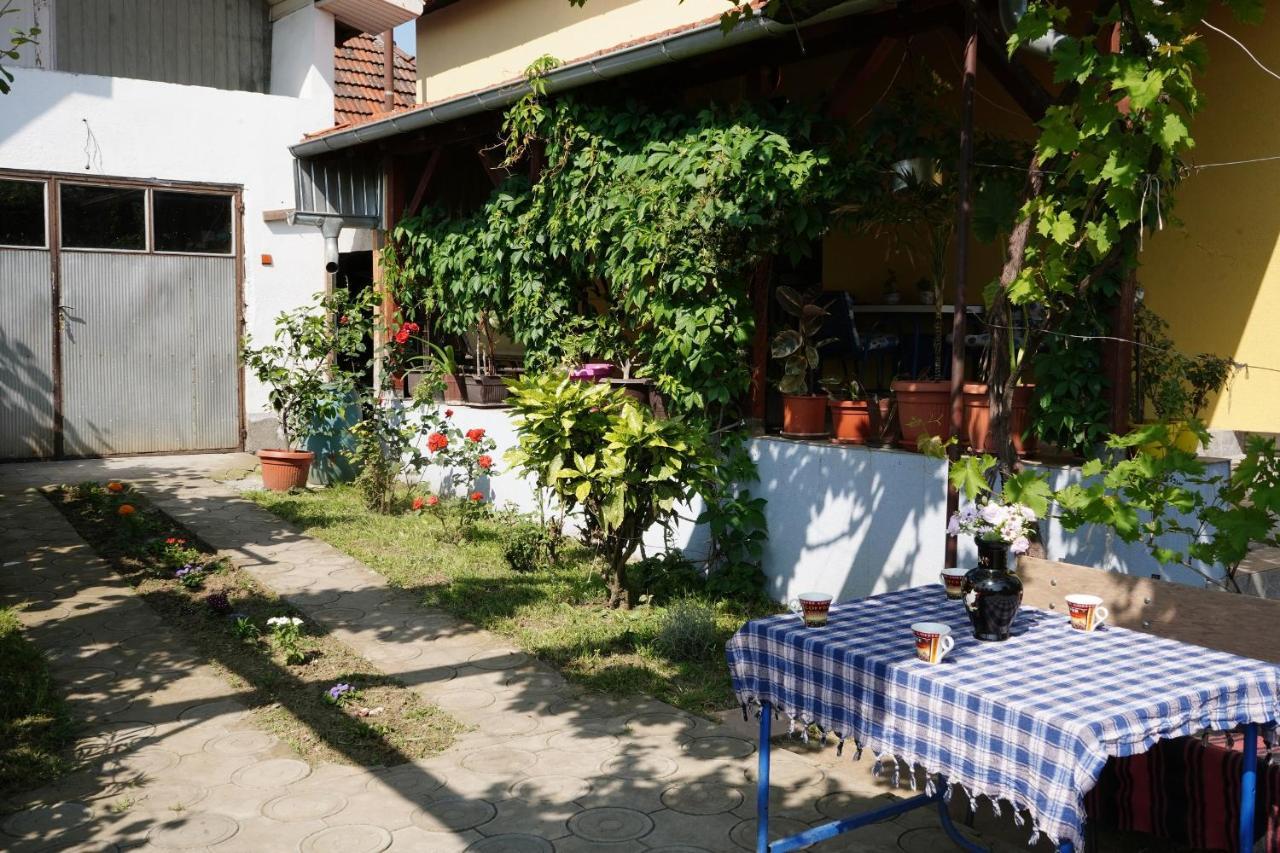 Etnobubi Apartment Novi Sip Exterior photo
