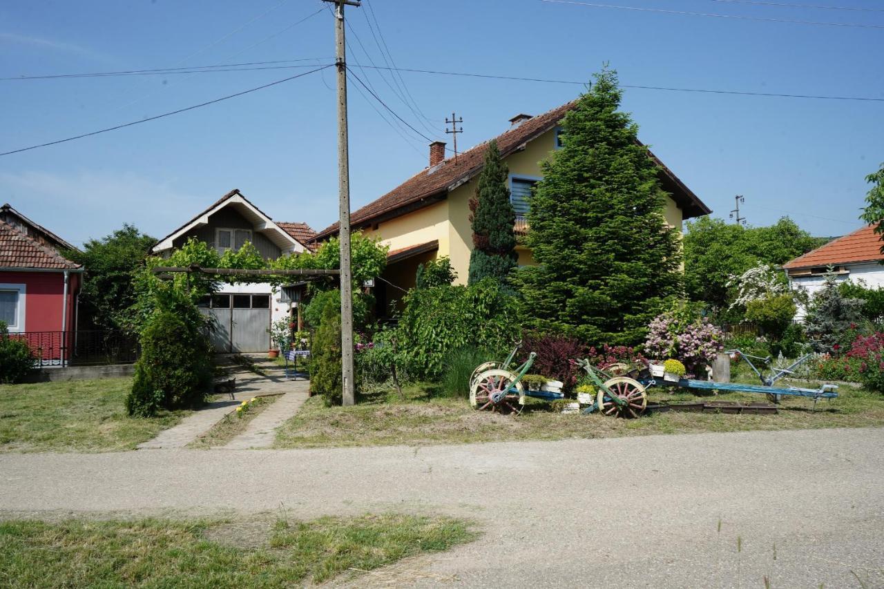 Etnobubi Apartment Novi Sip Exterior photo