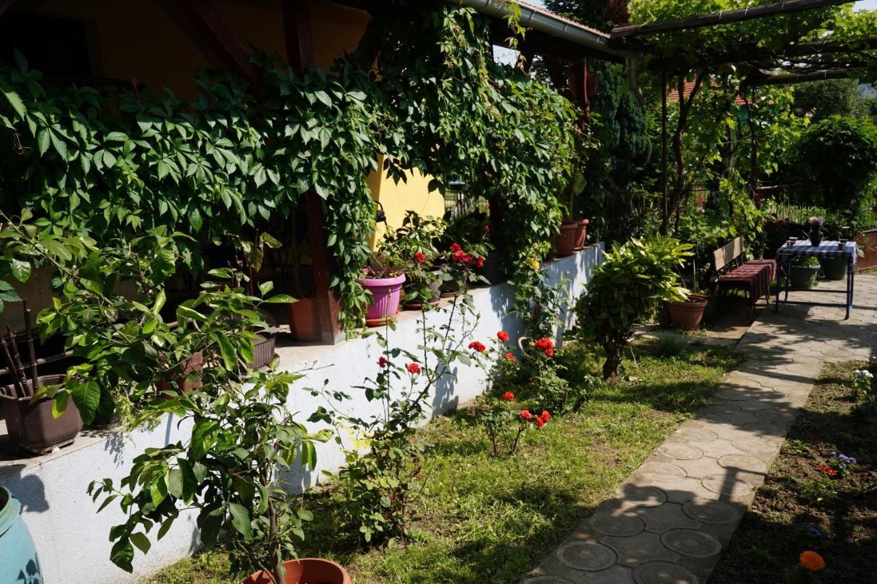 Etnobubi Apartment Novi Sip Exterior photo